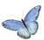 How To Be A Social Butterfly