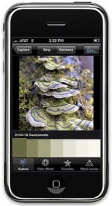 Benjamin Moore Color Capture App helps choose the right color for you on casartblog