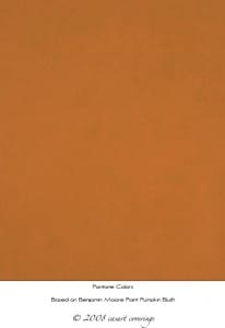 casart colorwash in rust