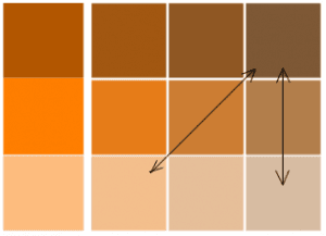 Pumpkin Spice and Orange Color Options that coordinate