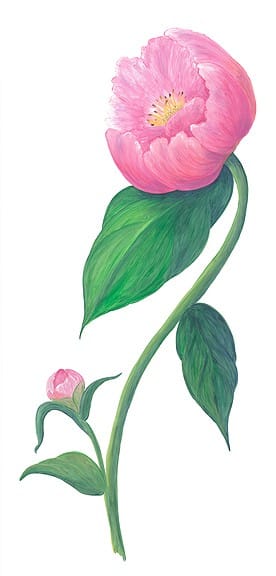 Casart Peony comes in assorted colors and in a pattern Casart Peony removable wallpaper comes in assorted colors and in a pattern on casartblog