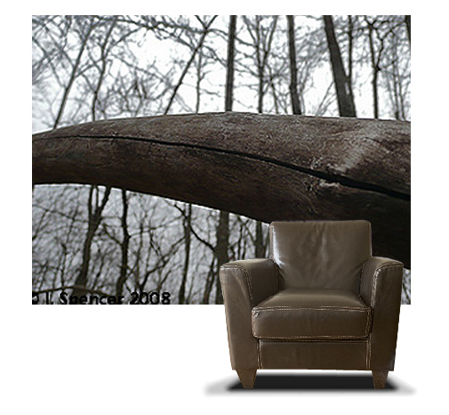 bridge to contemplation on casartblog