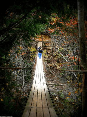 bridge to contemplation on casartblog