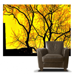 caart_photo_WinterSunset-chair_casartblog Walls that wow Casart Winter Sunset self-adhesive wallpaper on caasrtblog