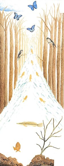 Casart Woodland Stream Reusable wallpaper mural for a melodius March on casartblog