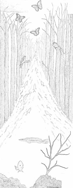 Casart removable wallpaper Woodland stream Stair Mural with outlines on casartblog