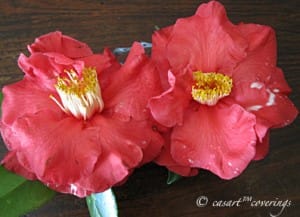 casart_camilia_casartblog