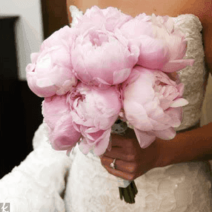 peony bouquet_casartblog