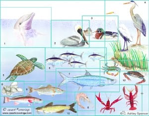 casart_Gulf-Coast_Mural_ArtisEverywhere_casartblog