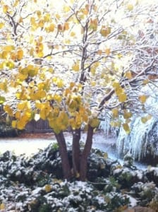 First snow of the season