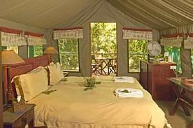decorating dilemma in Camp Moremi, Botswana on casartblog
