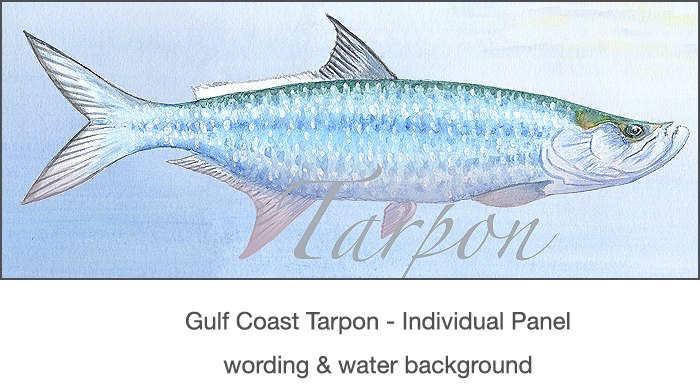 Casart Tarpon via Casart coverings