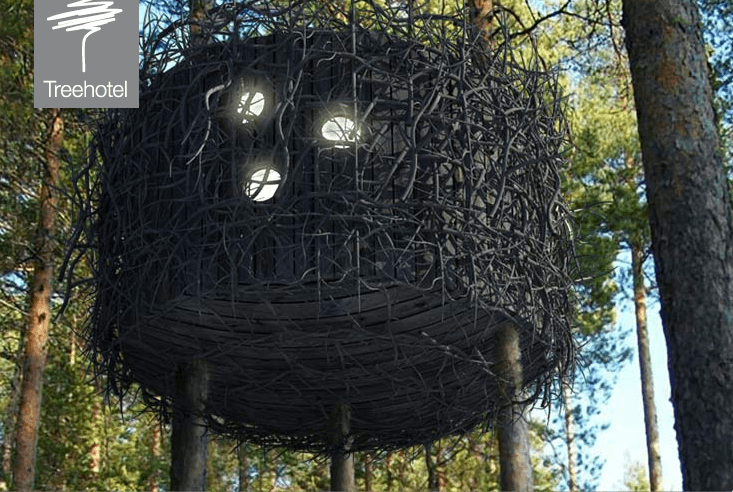 Tree Hotel 3 Bird's Nest at The Tree Hotel as seen on Slipcovers for your walls, casartblog