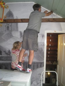 Demystifying Design_casart custom1 as seen on Slipcovers for your walls