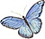 Casart Butterfly, as seen on Slipcovers for your walls, casartblog