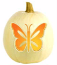 tangerine pumpkin-butterfly on casartblog
