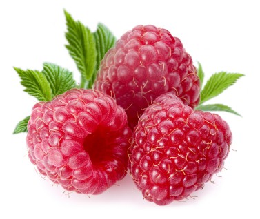 Raspberries via fruit fast Raspberries as seen on Slipcovers for your walls, casartblog