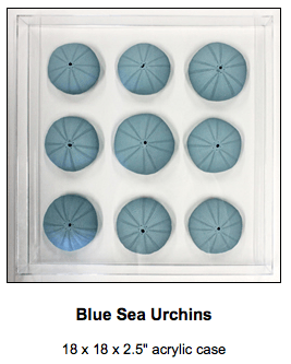 KRC-sea-urchin Karen Robertson Colllection Sea Urchin