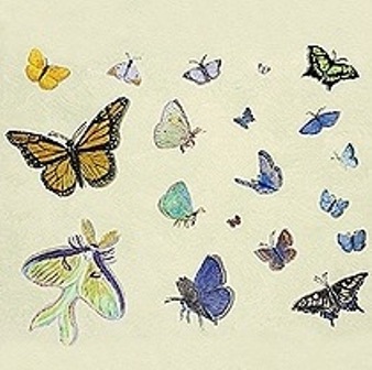 Casart butterfly composite removable wallpaper on casartblog