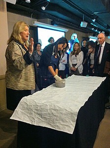 Casart Coverings shows a Maya Romanoff wallcovering demonstration on casartblog