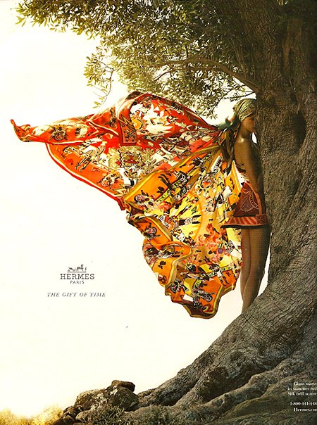 Casart Coverings shows a Hermes rebirth of the Butterfly on Slipcovers for your walls, casartblog