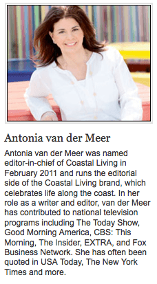 Antonia van der Meer on Slipcovers for your walls, casartblog