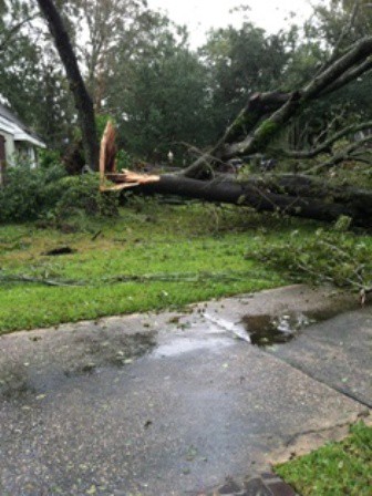hurricane Isaac damage on casartblog