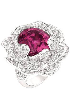 Chanel's Jardin de Camelias