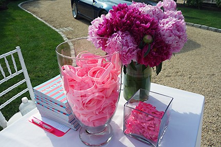 Breast cancer bands Holiday House Hamptons on Slipcovers for your walls, casartblog