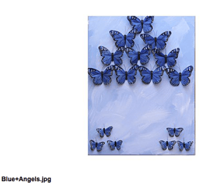 butterfly-blue-angels_Nadine Kalachnikoff on Slipcovers for your walls, casartblog
