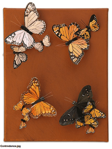 butterfly-collage_Nadine Kalachnikoff_casatblog