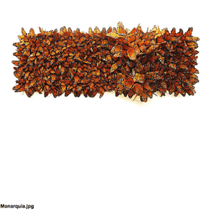 butterfly-monarch_Nadine Kalachnikoff_casartblog