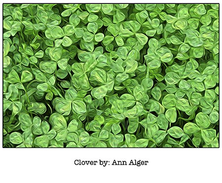 Ann Alger Clover_for Casart coverings