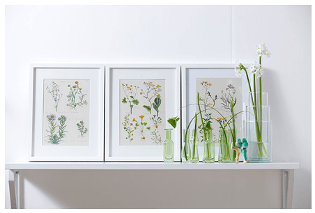 IKEA Ribba Frame with botanicals on Slipcovers for your walls, casartblog