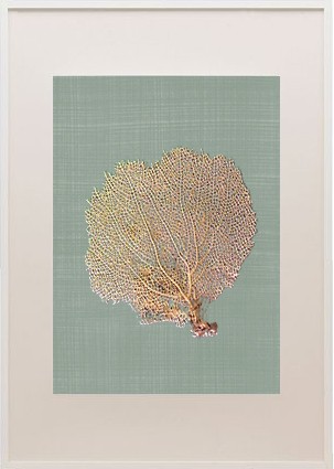 Sea fan frame-winter2_casartblog