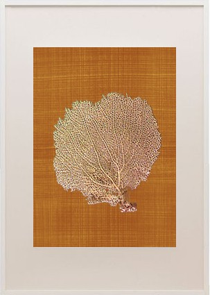Sea fan frame_fall1_casartblog