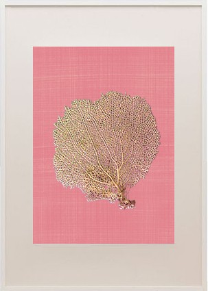 Sea fan frame_spring1_casartblog