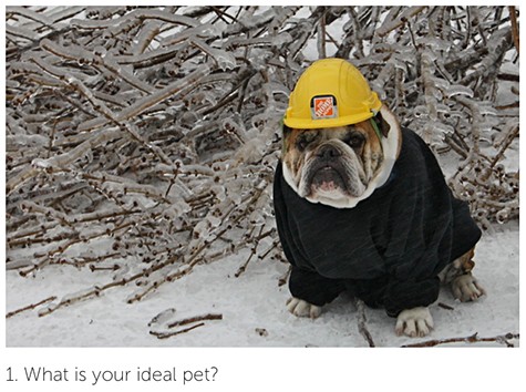 Houzz Decorating Quiz on Slipcovers for your walls, casartblog