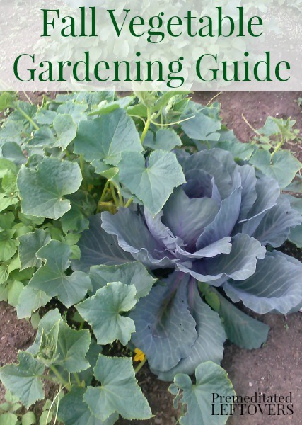 Fall Vegetable Gardening on casartblog