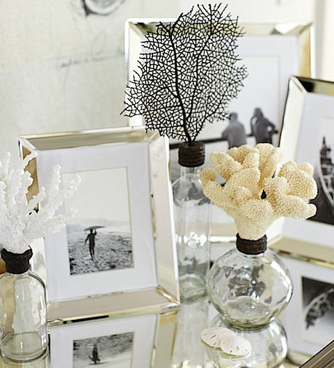 collection-of-seashell-glass-bottles-and-picture-frames on Slipcovers for your walls, casartblog
