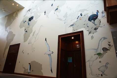 early stage of bird mural_casartblog