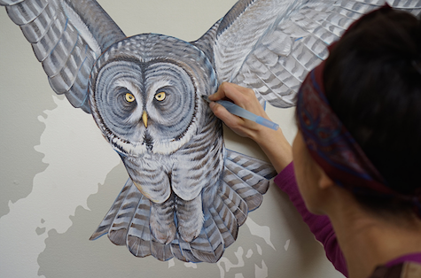 Great grey owl_casartblog