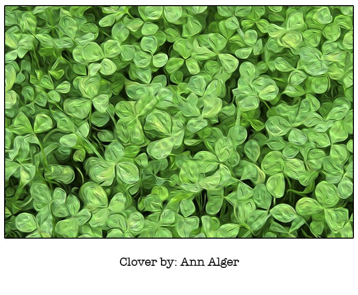 Clover- Ann Alger_Casart Coverings removable wallpaper_casartblog