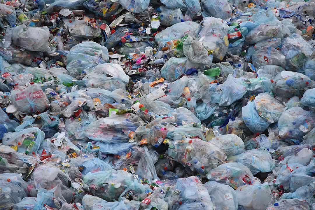 Waste Mentality Garbage Dump_casartblog