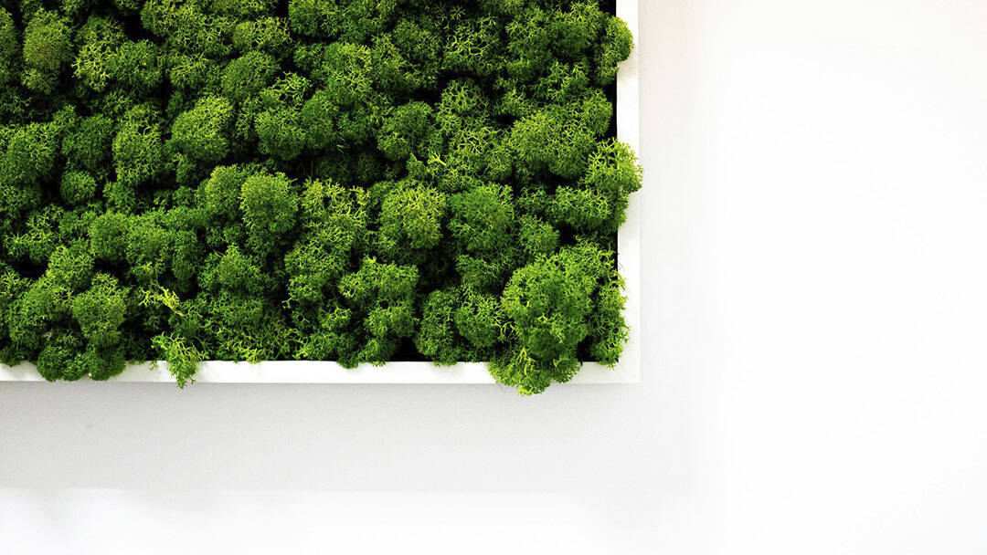 Natural-accent-wall_Photo-by-robert-stemler_via-unsplash_casartblog