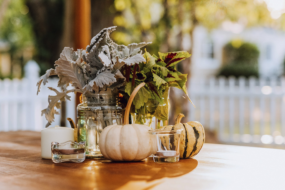 Seasonal Colors of Fall 2025 photo by Rinck Content Studio via unsplash_casartblog