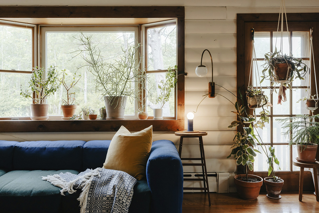 Spring Biophilic photo by Clay Banks via unsplash_casartblog