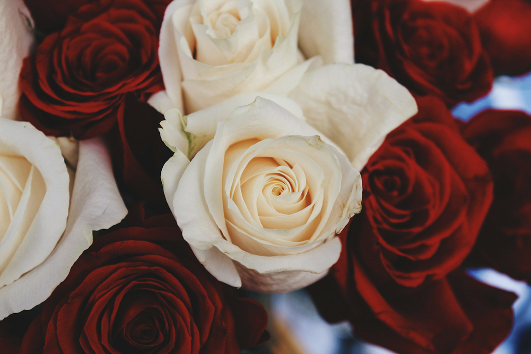 Red White Roses Photo by Seth Reese via unsplash_casartblog