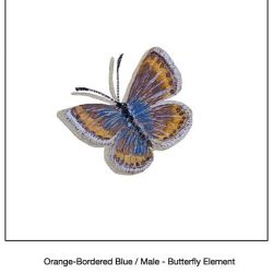 Casart_Orange-Bordered Blue Butterfly Detail_14x