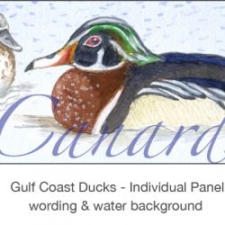 Casart_Gulf Coast Ducks_Panel water & wording_4x